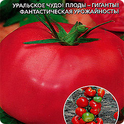 Томат Уральский Гигант, 0,1 г Томат Уральский Гигант, 0,1 г