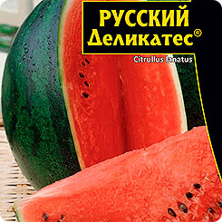 Арбуз Русский Деликатес®, 5 шт. Арбуз Русский Деликатес®, 5 шт.