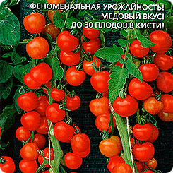 Томат 1000 и 2 помидорки, 0,1 г Томат 1000 и 2 помидорки, 0,1 г