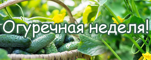 ОГУРЕЧНАЯ НЕДЕЛЯ с 13 по 19 января! ОГУРЕЧНАЯ НЕДЕЛЯ с 13 по 19 января!