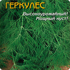 Укроп Геркулес, 1 г Укроп Геркулес, 1 г