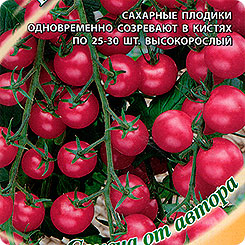 Томат черри Вишня Розовая, 0,1 г Семена от автора Томат черри Вишня Розовая, 0,1 г Семена от автора