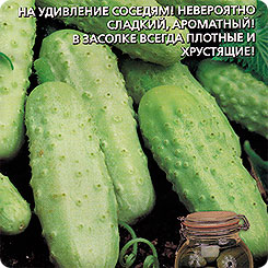 Огурец Белый сахар F1, 10 шт. Огурец Белый сахар F1, 10 шт.