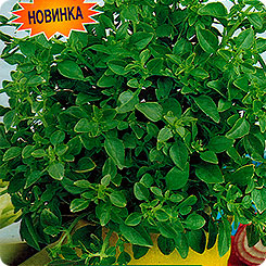 Базилик Грезы султана ®, 0,2 г Базилик Грезы султана ®, 0,2 г