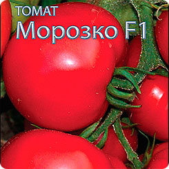 Томат Морозко F1, 10 шт. Томат Морозко F1, 10 шт.