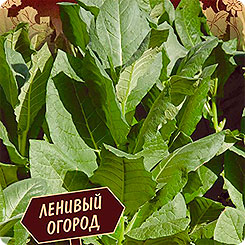 Табак курительный Бамбук, 0,01 г Ленивый огород Табак курительный Бамбук, 0,01 г Ленивый огород