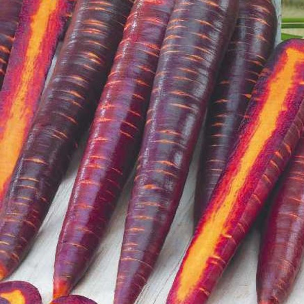 Морковь Чурчхела Фиолетовая, 0,2 г Произведено в Сибири