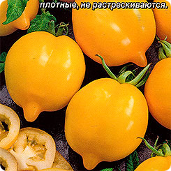 Томат Цитрусовый сад, 0,05 г Томат Цитрусовый сад, 0,05 г