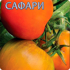 Томат Сафари F1, 15 шт. Томаты-Фрукты Томат Сафари F1, 15 шт. Томаты-Фрукты