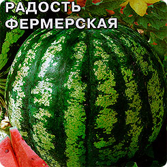 Арбуз Пекинская радость Фермерская F1, 1 г Арбуз Пекинская радость Фермерская F1, 1 г
