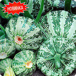 Патиссон Большая удача, 1 г Патиссон Большая удача, 1 г