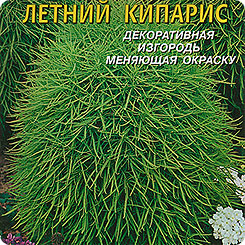 Кохия Летний кипарис, 0,3 г Кохия Летний кипарис, 0,3 г