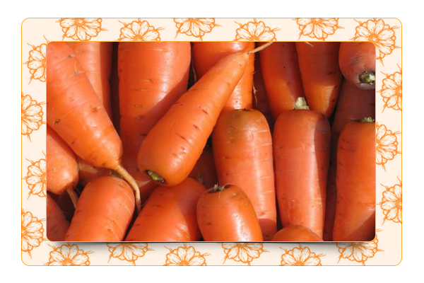 Что нужно, чтобы морковь хорошо росла?