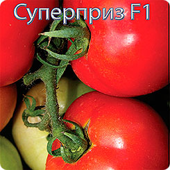 Томат Суперприз F1, 15 шт. Томат Суперприз F1, 15 шт.