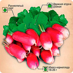 Редис 18 дней, 6 г Двойная фасовка Редис 18 дней, 6 г Двойная фасовка