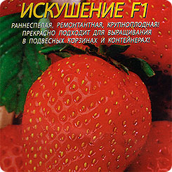 Клубника ампельная ремонтантная Искушение F1, 10 шт. Клубника ампельная ремонтантная Искушение F1, 10 шт.