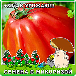 Томат Существенный, 10 шт. Томат Существенный, 10 шт.