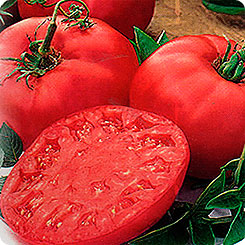 Томат Биф Пинк Бренди F1, 12 шт. Вкуснятина! Томат Биф Пинк Бренди F1, 12 шт. Вкуснятина!