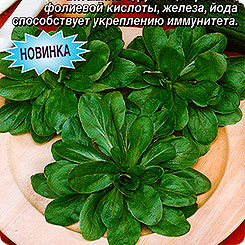 Салат полевой Весенний, 0,5 г Салат полевой Весенний, 0,5 г