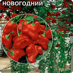Перец-дерево сладкий Спрут Новогодний, 0,05 г Перец-дерево сладкий Спрут Новогодний, 0,05 г