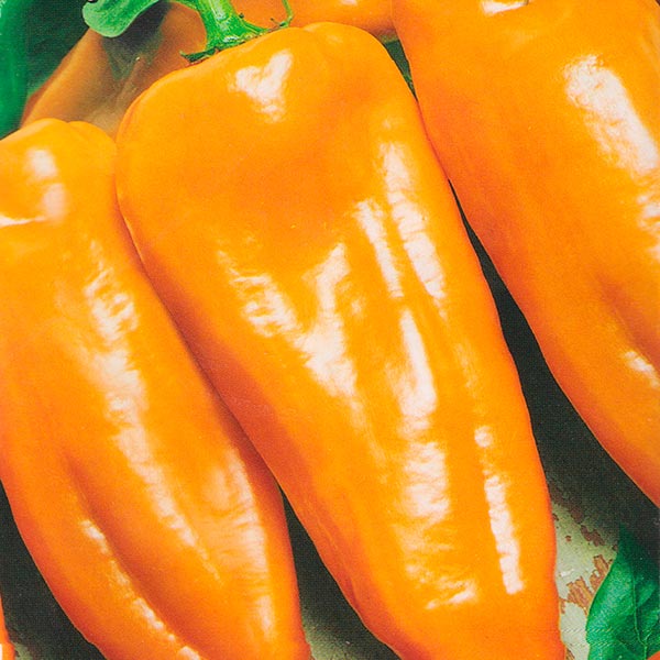 Перец сладкий Вундеркинд ®, 0,2 г Перец сладкий Вундеркинд ®, 0,2 г