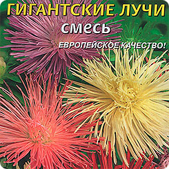 Астра Гигантские лучи, Смесь, 0,3 г Астра Гигантские лучи, Смесь, 0,3 г