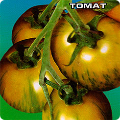 Томат Сибирский малахит, 20 шт. Томат Сибирский малахит, 20 шт.