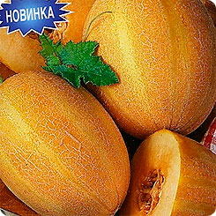 Дыня Маркиза®, 1 г Дыня Маркиза®, 1 г