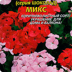 Пеларгония зональная Шоколад Микс F1, 3 шт. Пеларгония зональная Шоколад Микс F1, 3 шт.