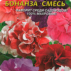 Петуния махровая многоцветковая Бонанза F1, Смесь, 10 драже Петуния махровая многоцветковая Бонанза F1, Смесь, 10 драже