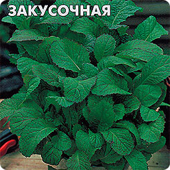 Горчица листовая Закусочная, 1 г Горчица листовая Закусочная, 1 г