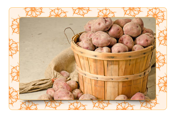  Как сохранить картофель зимой