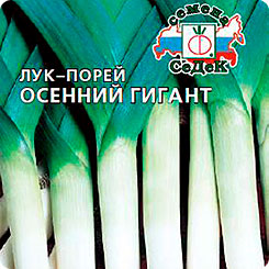 Лук порей Осенний гигант, 1 г Лук порей Осенний гигант, 1 г
