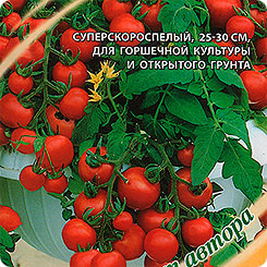Томат Снегирек, 0,1 г Семена от автора Томат Снегирек, 0,1 г Семена от автора