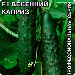 Огурец Весенний каприз F1, 0,2 г Профессиональная коллекция Огурец Весенний каприз F1, 0,2 г Профессиональная коллекция