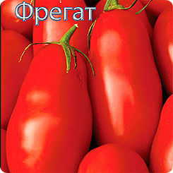 Томат Фрегат, 15 шт. Томат Фрегат, 15 шт.