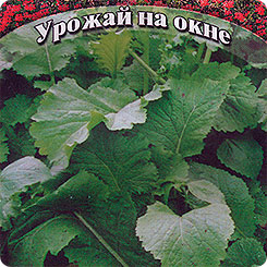Горчица салатная Прима, 1 г Урожай на окне Горчица салатная Прима, 1 г Урожай на окне