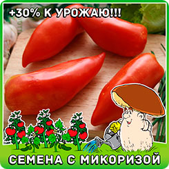 Томат Важный перец, 5 шт. Томат Важный перец, 5 шт.