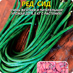 Вигна Ред Сид, 15 шт. Вигна Ред Сид, 15 шт.
