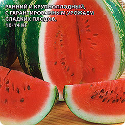 Арбуз Одиссей F1, 5 шт.Sakata Арбуз Одиссей F1, 5 шт.Sakata