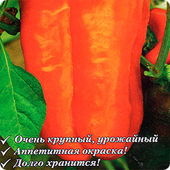Перец сладкий Оранжевый бык - НК F1, 12 шт. Профи