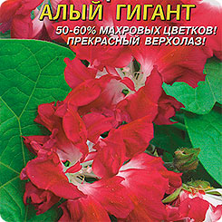 Ипомея махровая Алый гигант, 5 шт. Ипомея махровая Алый гигант, 5 шт.