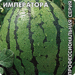 Арбуз Шапка императора F1, 1 г Профессиональная серия Арбуз Шапка императора F1, 1 г Профессиональная серия