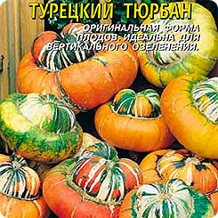 Тыква декоративная Турецкий тюрбан, 2 шт. Тыква декоративная Турецкий тюрбан, 2 шт.