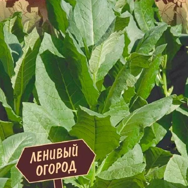 Табак курительный Бамбук, 0,01 г Ленивый огород 