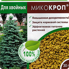 Микориза для хвойных. Микориза у хвойников. Микориза МИКОКРОП. Микоризные грибы для хвойных.