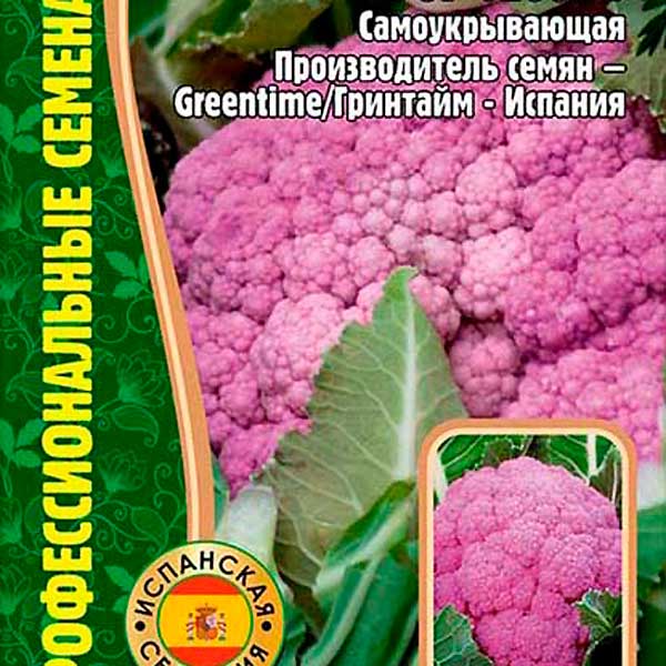 Капуста цветная Испанская фиолетовая CFGV-1200 F1, 10 шт. Профессиональные Семена Овощей