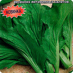 Горчица салатная Частушка ®, 0,5 г Горчица салатная Частушка ®, 0,5 г