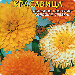 Календула Тихоокеанская красавица, Смесь, 0,4 г Календула Тихоокеанская красавица, Смесь, 0,4 г