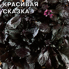 Базилик Красивая сказка, 0,2 г Базилик Красивая сказка, 0,2 г